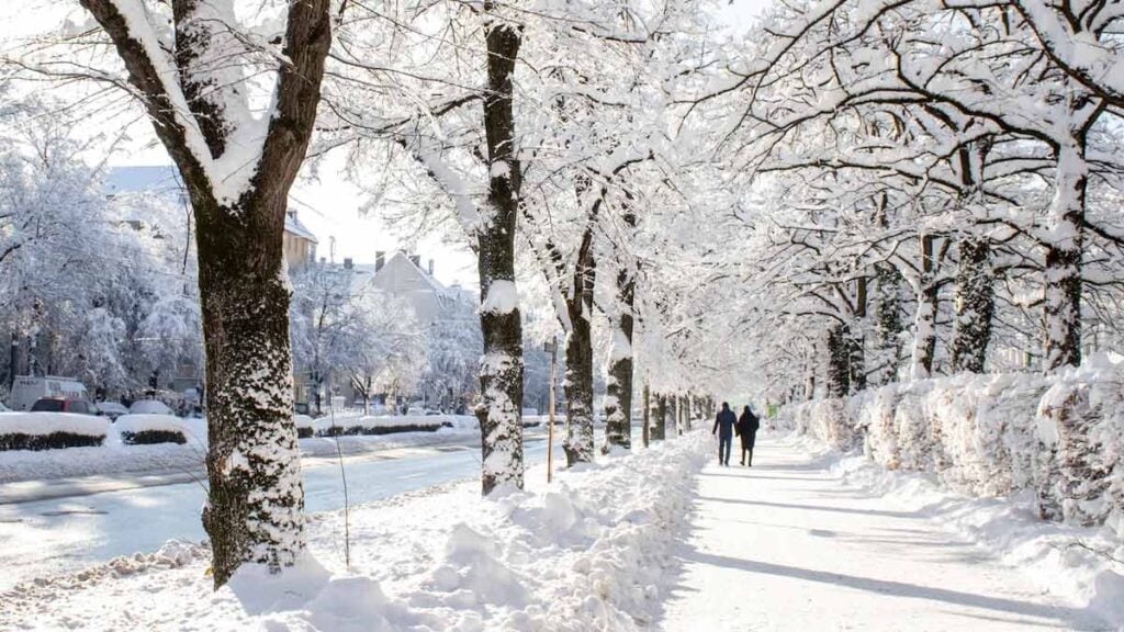 Katharinentag-Bauernregel