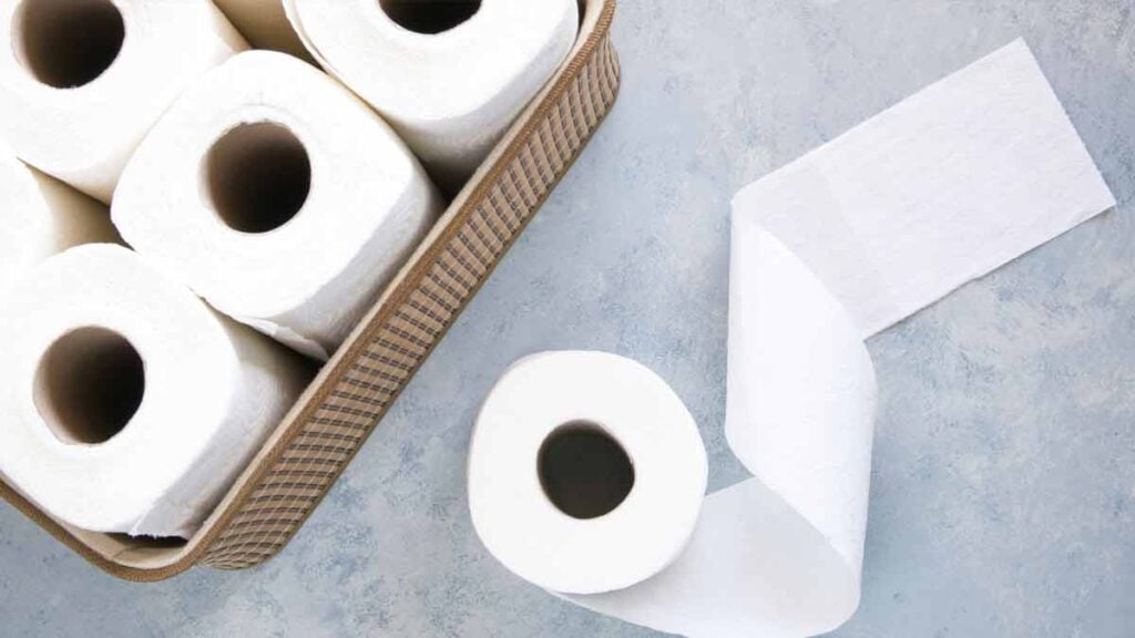 Toilettenpapier Alternativen